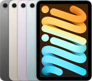Ipad-Permanently Unlock